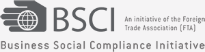 BSCI Logo